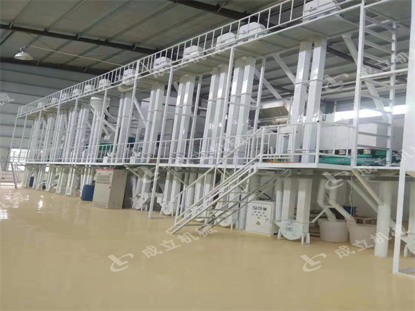安陽滑縣200噸玉米加工設備